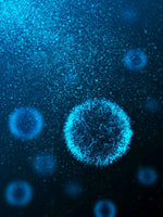 Digitales Bild von Bakterien, Viren oder Coronaviren Covid-19